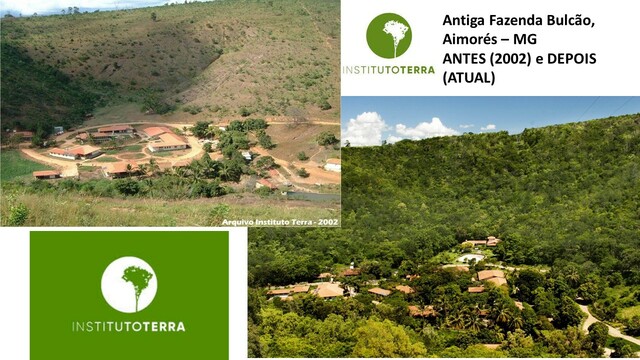 Intituto terra 1 display